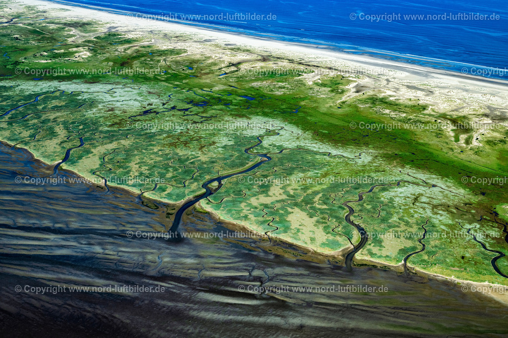 Norderney_Seegraswiesen_ELS_6756050923 | NORDERNEY 05.09.2023 Grasflächen- Strukturen einer Salzwiesen- Landschaft auf der Südseite der Insel Norderney im Bundesland Niedersachsen, Deutschland. // Grassland structures of a salt marsh landscape on the south side of the island of Norderney in the state of Lower Saxony, Germanyy. Foto: Martin Elsen