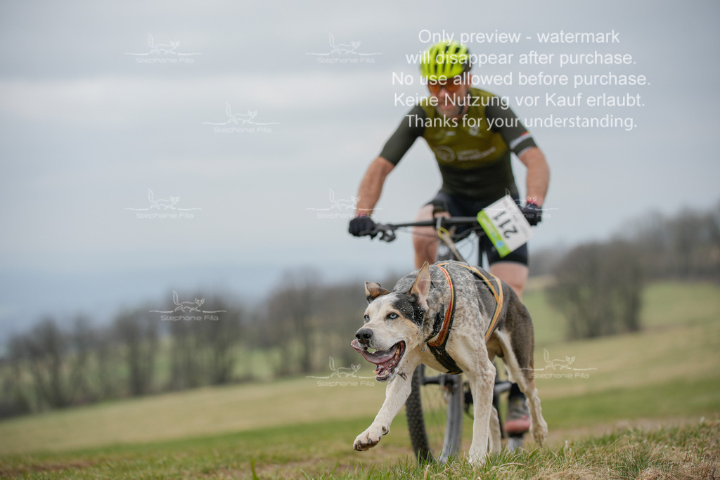 BikeSA-74 | stephaniefillaphotographie - Realisiert mit Pictrs.com