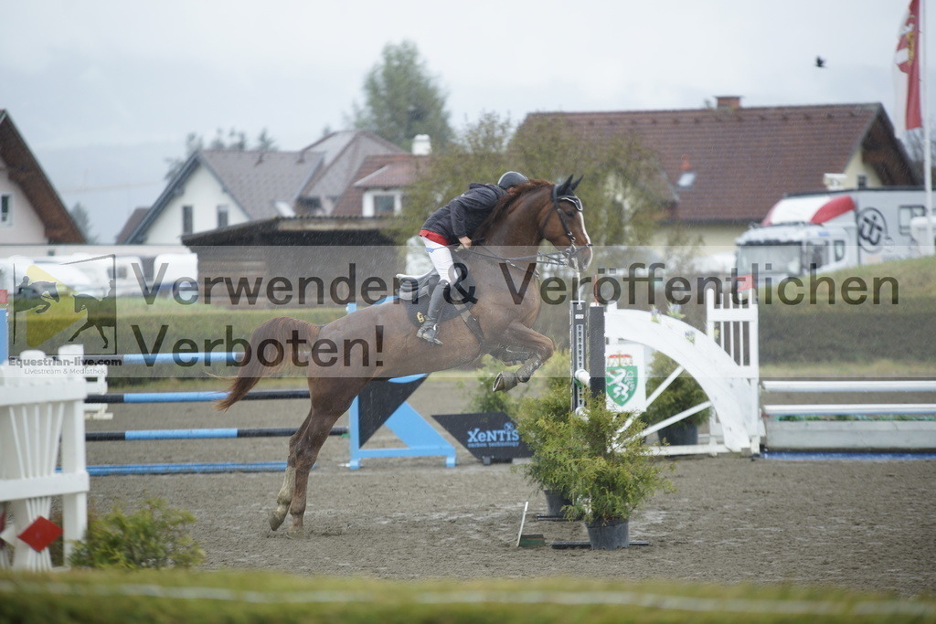 _DSC6151 | equestrian-live-com