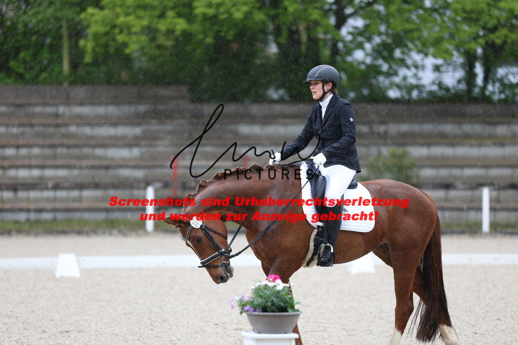 A40A7273 | lmwpictures - Realisiert mit Pictrs.com