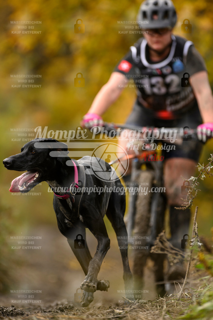 MompixPhotography_ICF_WC_2024_SA_Bike_-154 | PayLife