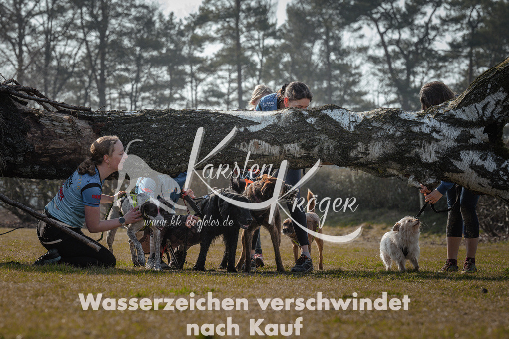 1109_ZZ94716 | kk-dogfotos