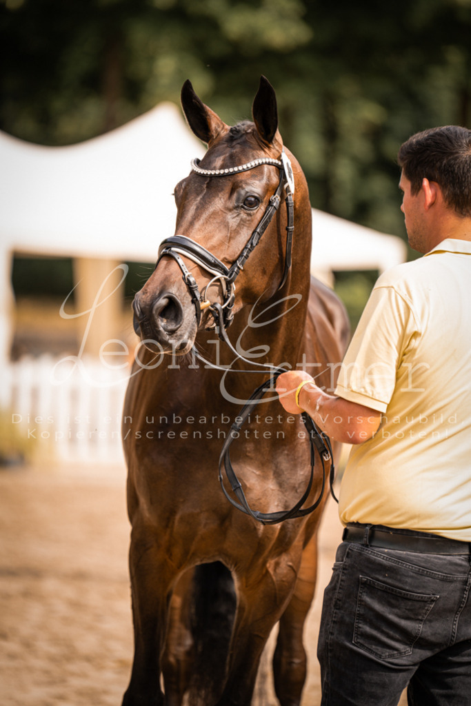 7.Fr00102 | Leoni Ertmer Photography - Realisiert mit Pictrs.com