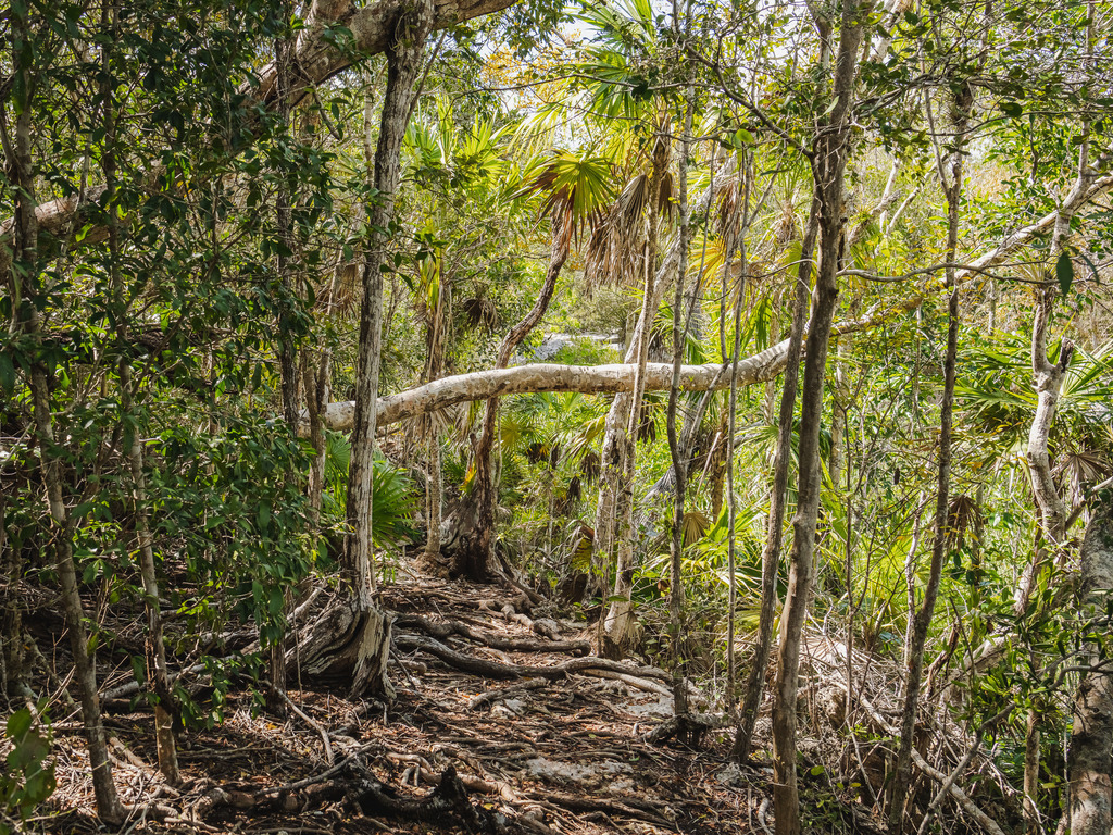 2022CU_SENDERO_enigma_de_la_roca-21_4500px_kurze_Kante_PRINT_6005 | PRINTBOX - Realisiert mit Pictrs.com