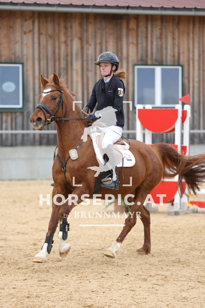 0P6A8091 | Willkommen bei Brunnmayr - Design & Fotografie – Ihrem Spezialisten für Reitturniere und Pferdeveranstaltungen in Oberösterreich, Salzburg und Bayern! Seit über 17 Jahren sind wir leidenschaftlich dabei.