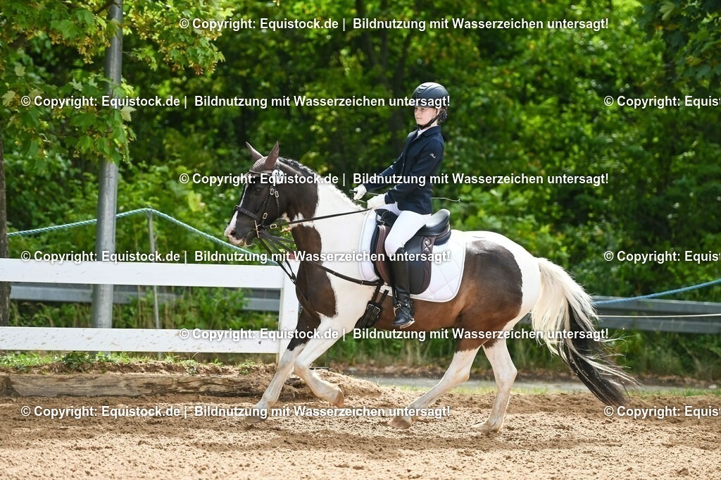 20230716_10-2_Reiter-WB Schritt - Trab - Galopp_0176 | equistock