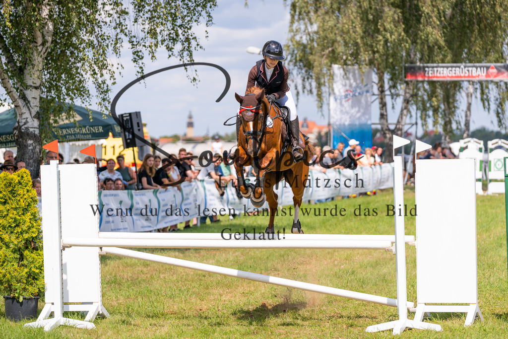 A7V04481 | Pferdefotograf