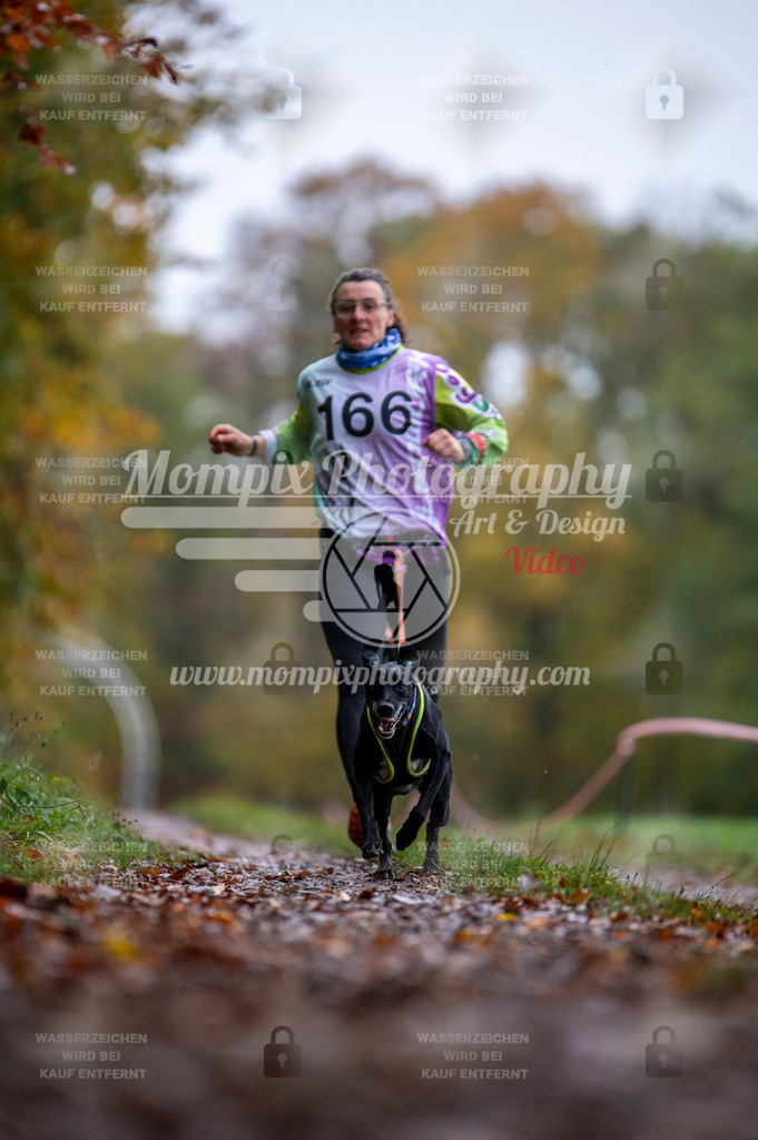 DBT_DAKM_SA_4_11_2023_Canicross-98 | PayLife