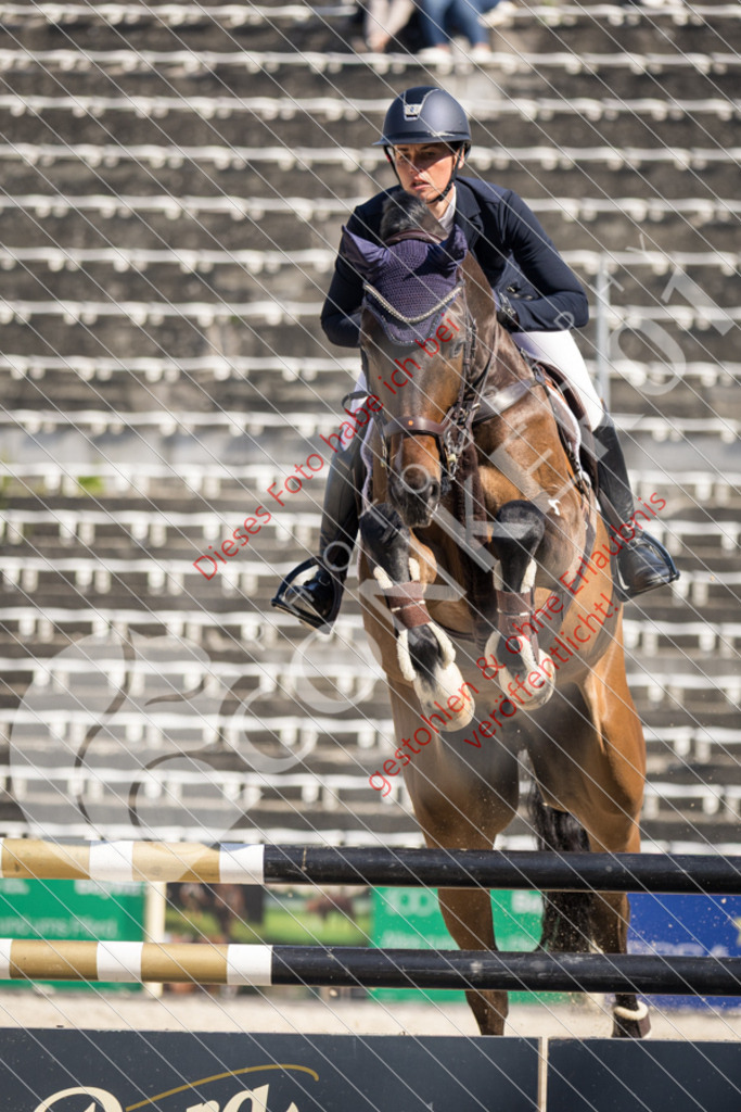 IMG_4046 | Sport-, Event- und Tierfotos in Profiqualität. Einfach auswählen, bestellen und herunterladen. Dein Moment – perfekt festgehalten.