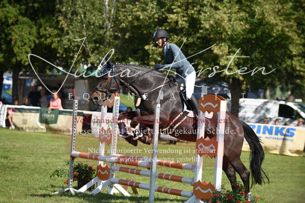 DSC_9204 | Pferde- und Turnierfotografie in Westsachsen. Pferdeportraits, Auftragszeichnungen und intuitive Kunst.