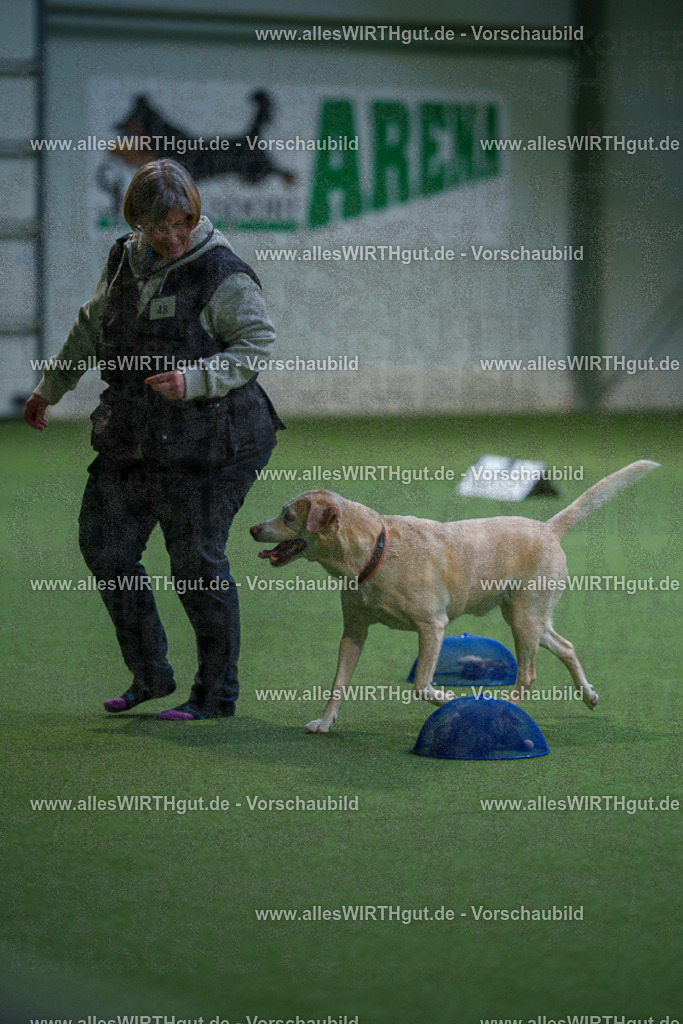 7R506303 | Professionelle Tierfotografie in Mönchengladbach von Daniel Wirth (allesWIRTHgut). Liebevolle & natürliche Bilder von Hunden & Katzen für unvergessliche Erinnerungen.