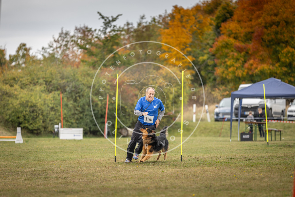 Pfotenfotografie_DV3A6472 | Hundefotografie, Tierfotograf, Pfotenfotografie, Fotoshooting Hund, Hunde Portrait, Hundesport, Hundeportraits, Heideshooting, Hunde, Sportfotograf, Hundefotograf, Turnierhundsport, THS,  - Realisiert mit Pictrs.com