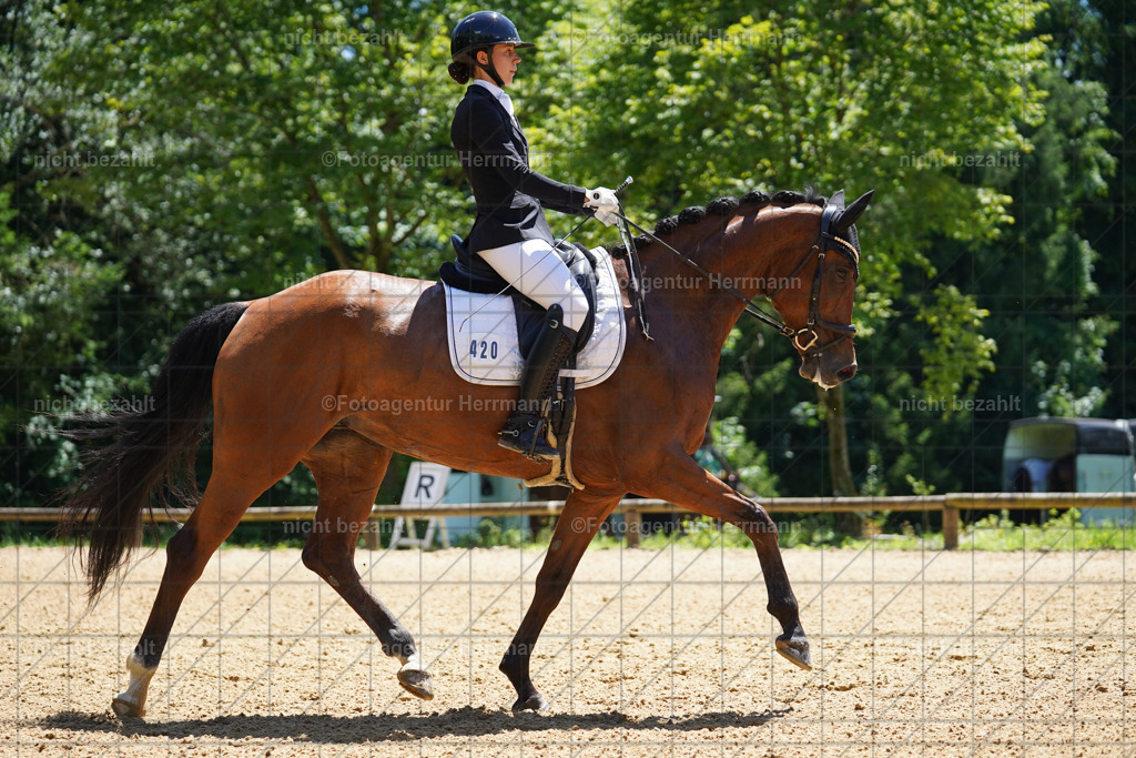 20240705-FAH03985 | Turnierbilder von Grafing, Reitsportbilder, Turnierfotos, Turnierfotografen Bayern, Pferdefotograf, Fotoagentur Herrmann