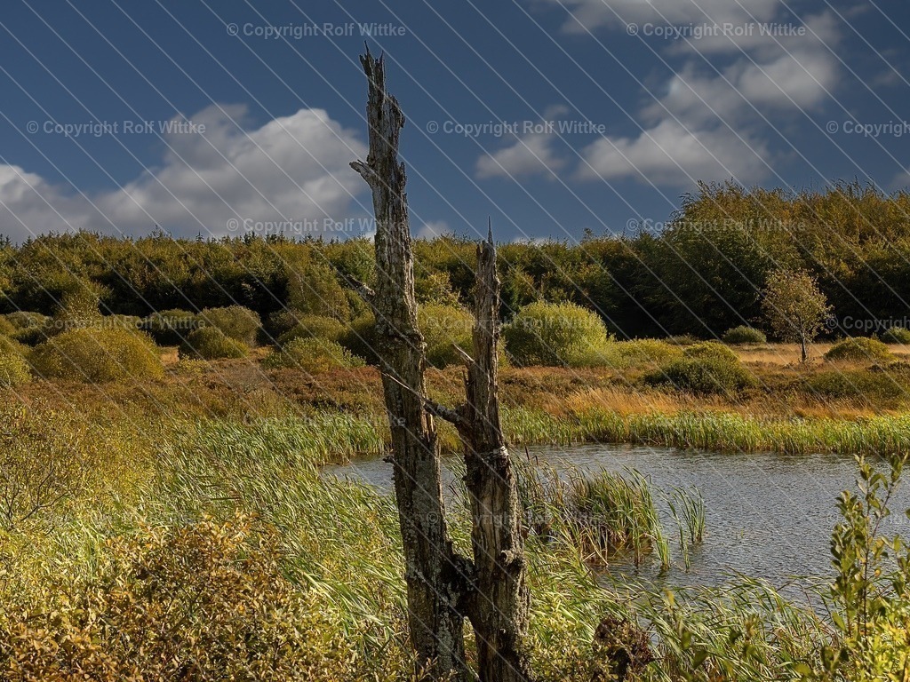 hohes venn1 | Rolf Wittke  - Realisiert mit Pictrs.com