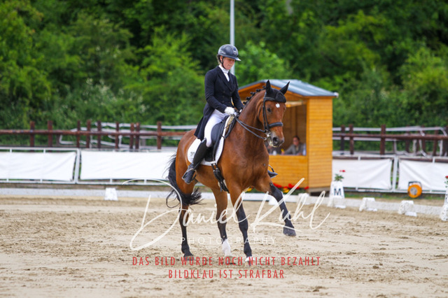 DKP47977 | Turnierfotos kaufen im Webshop von Daniel Kuhl Photography – entdecke professionelle Reitsportfotos aus Turnieren & Events. Hochwertige Turnierbilder online bestellen & sichern. Jetzt Fotos von Reitsportturnieren kaufen!
