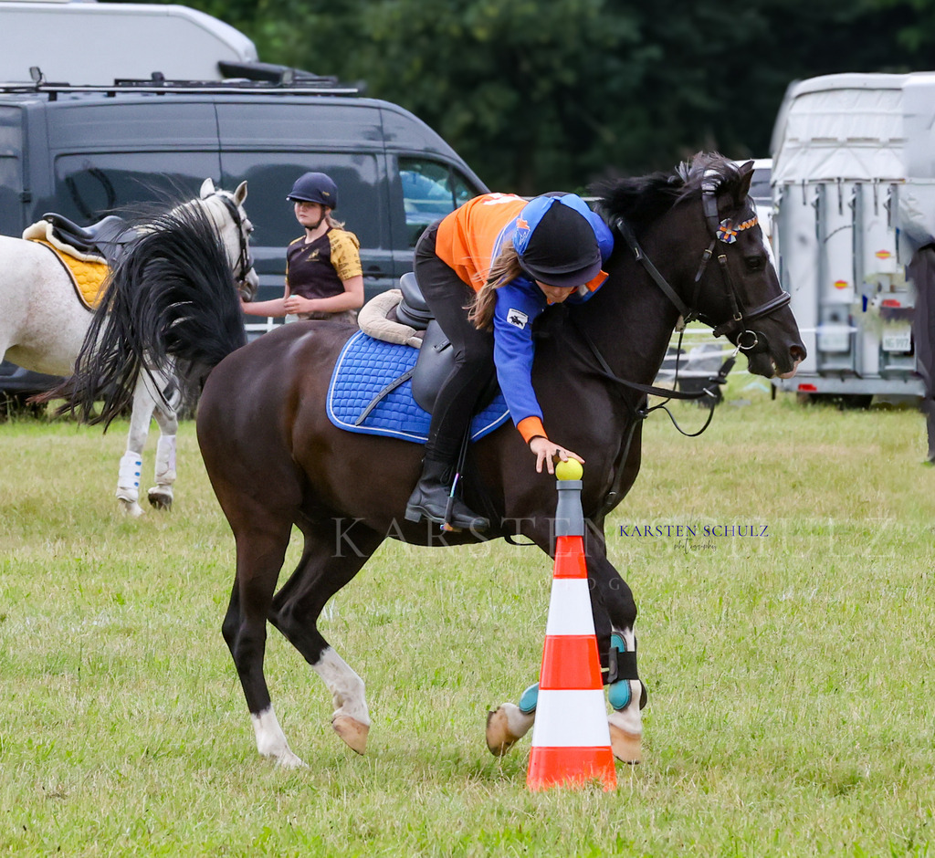 1B3A1606 | Reitsport Reiten