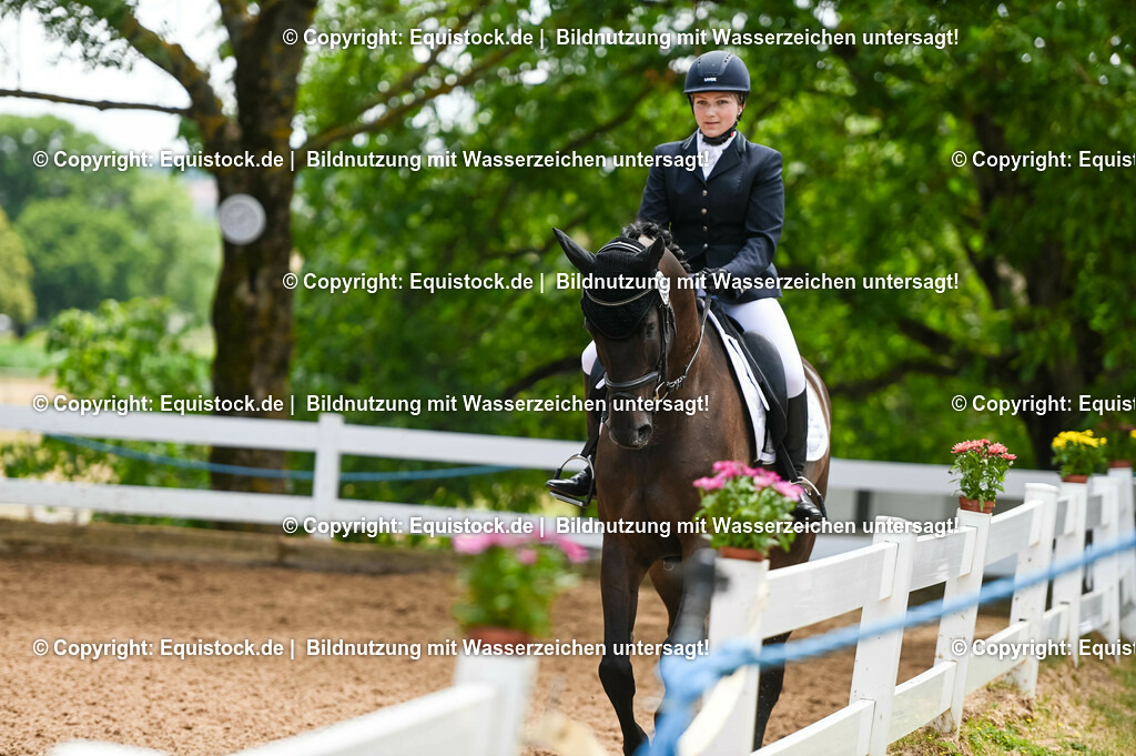 20230716_03_Dressurprfg. Kl.L - Tr._0351 | equistock
