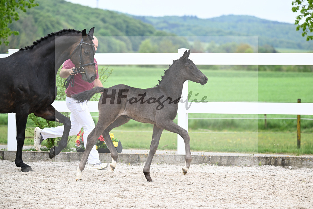 Kat-Nr. 19 SF Dante Weltino x Fuerst Jazz_Claus_23260683 | hf-fotografie - Realizzato con Pictrs.com