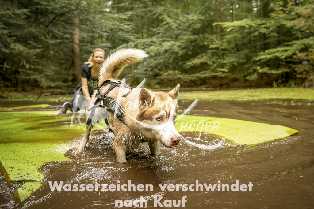 1424_ZZ92270-Bearbeitet | kk-dogfotos