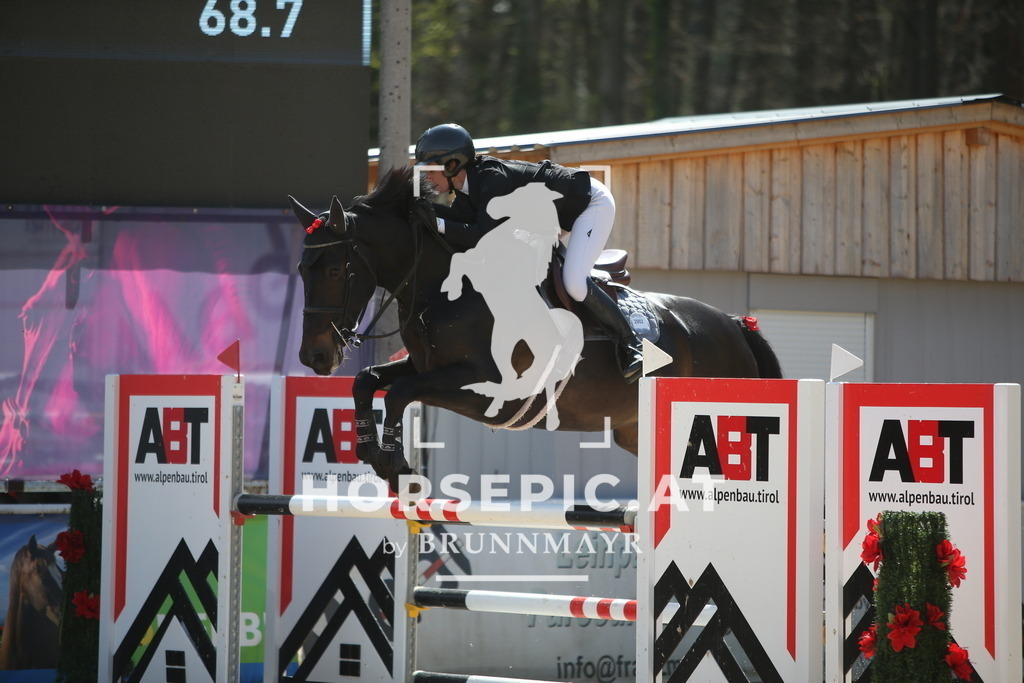 PP014104 | Willkommen bei Brunnmayr - Design & Fotografie – Ihrem Spezialisten für Reitturniere und Pferdeveranstaltungen in Oberösterreich, Salzburg und Bayern! Seit über 17 Jahren sind wir leidenschaftlich dabei.