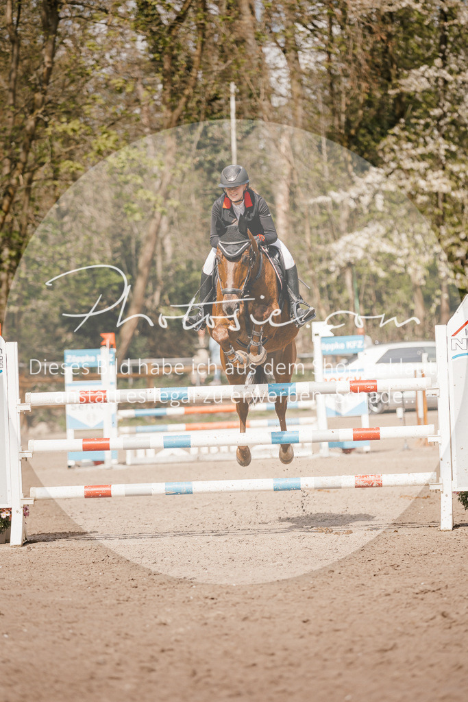 3I6A4200 | Stimmungsvolle Portraits und Reitsportfotografie im Ruhrgebiet und im Münsterland.

Pferdefotografie, Hundefotografie, Tierfotografie, Reportagen, Portraits von Tier und Mensch, Turnierfotografie in Bochum, Recklinghausen, Marl, Haltern am See, Dülmen.. - Realisiert mit Pictrs.com