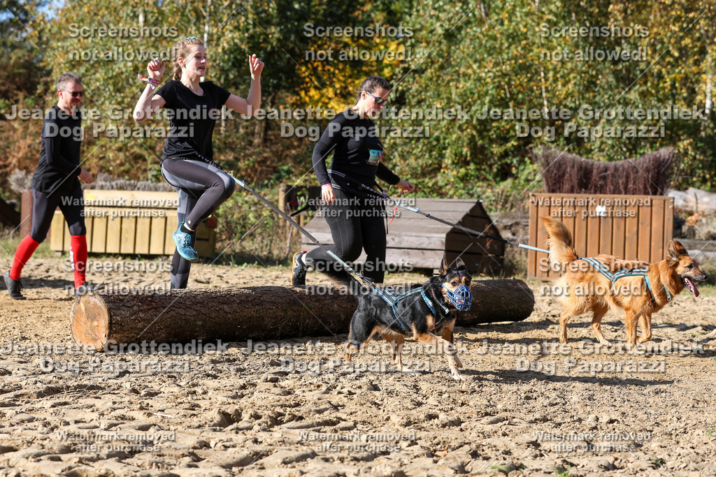 Dog Paparazzi - Strongdog 10-25-4845 | Dog Paparazzi Jeanette Grottendiek Fotografie & Videografie - Realisiert mit Pictrs.com