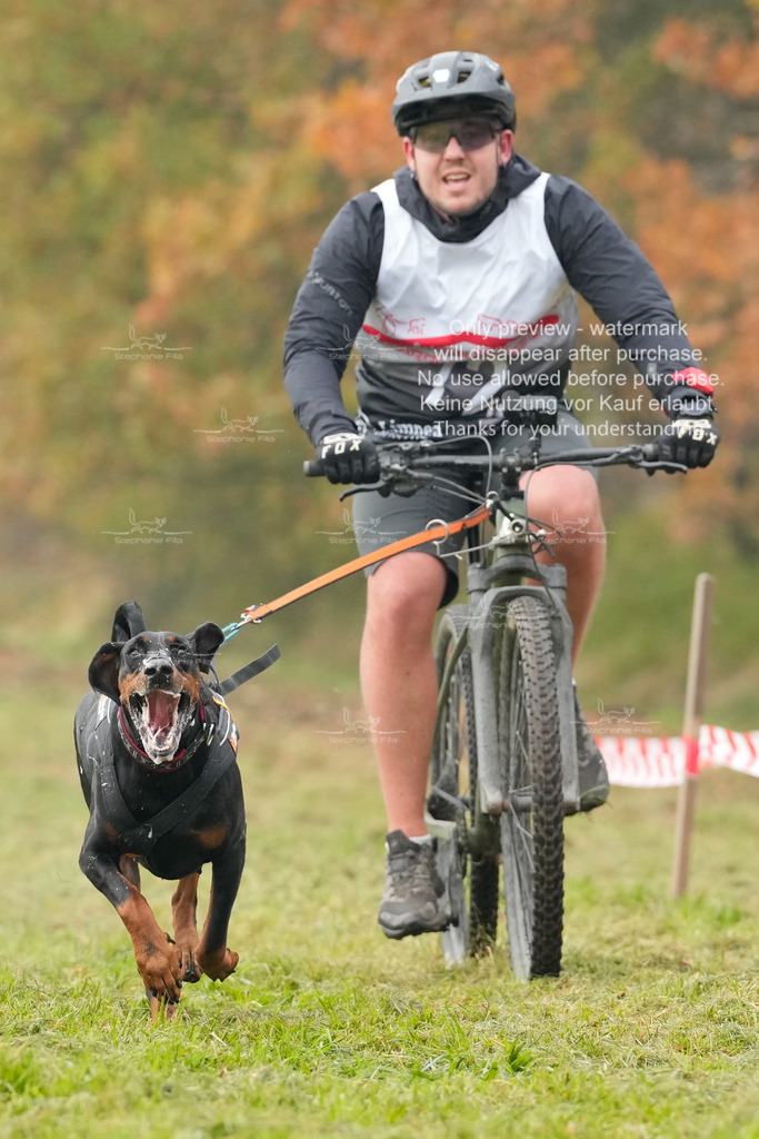 AusschnitteSa-131 | stephaniefillaphotographie - Realisiert mit Pictrs.com