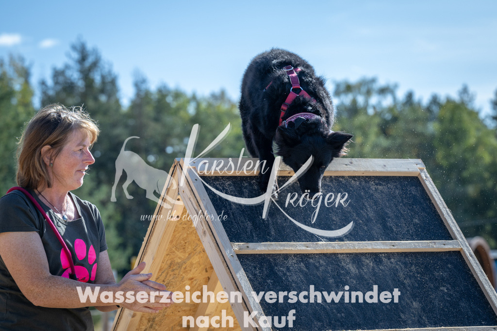 1256_ZZ93762-2 | kk-dogfotos