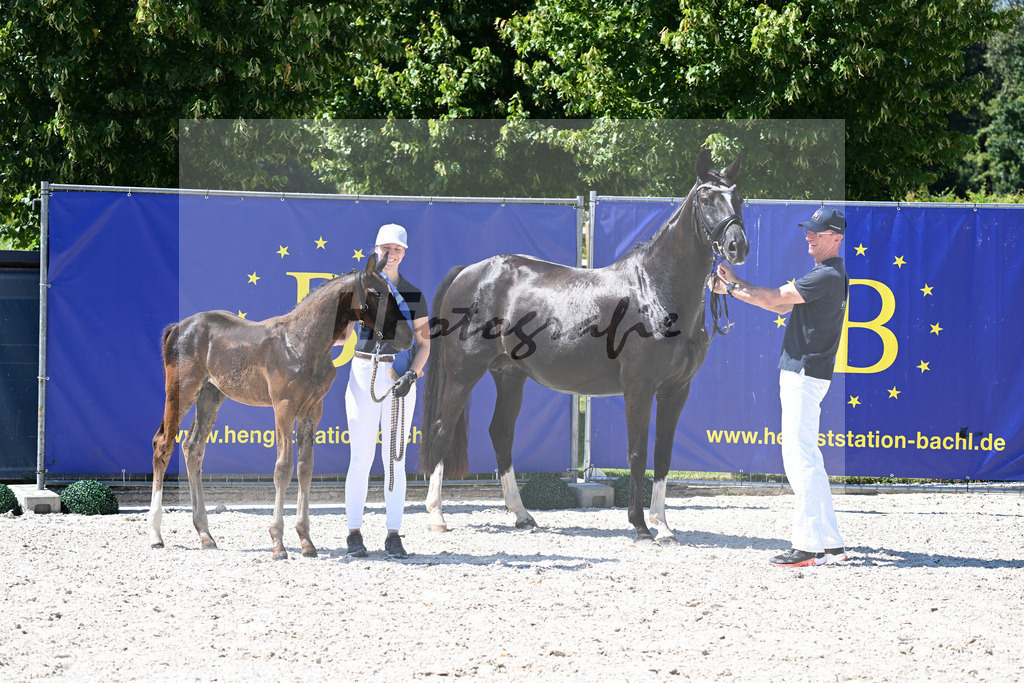 Kat-Nr. 24 Va Bene x Dante Weltino_HF_Winklmaier_24250616 | hf-fotografie - Realisiert mit Pictrs.com