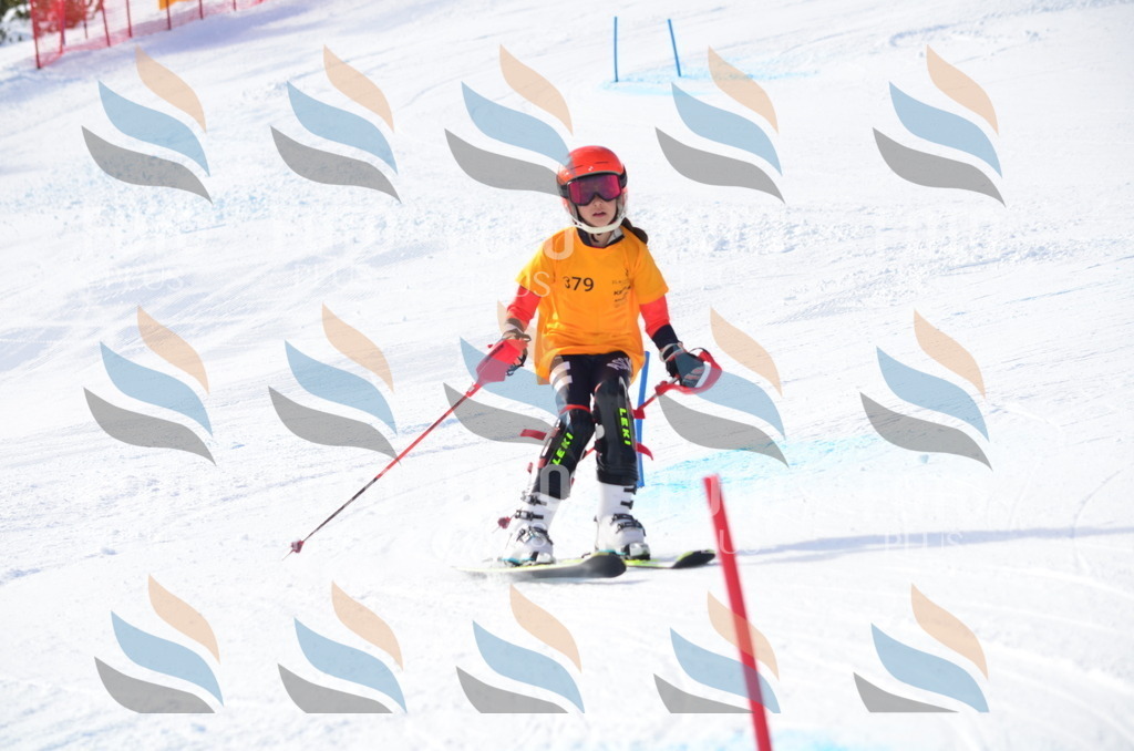 C7975 | holidayphoto