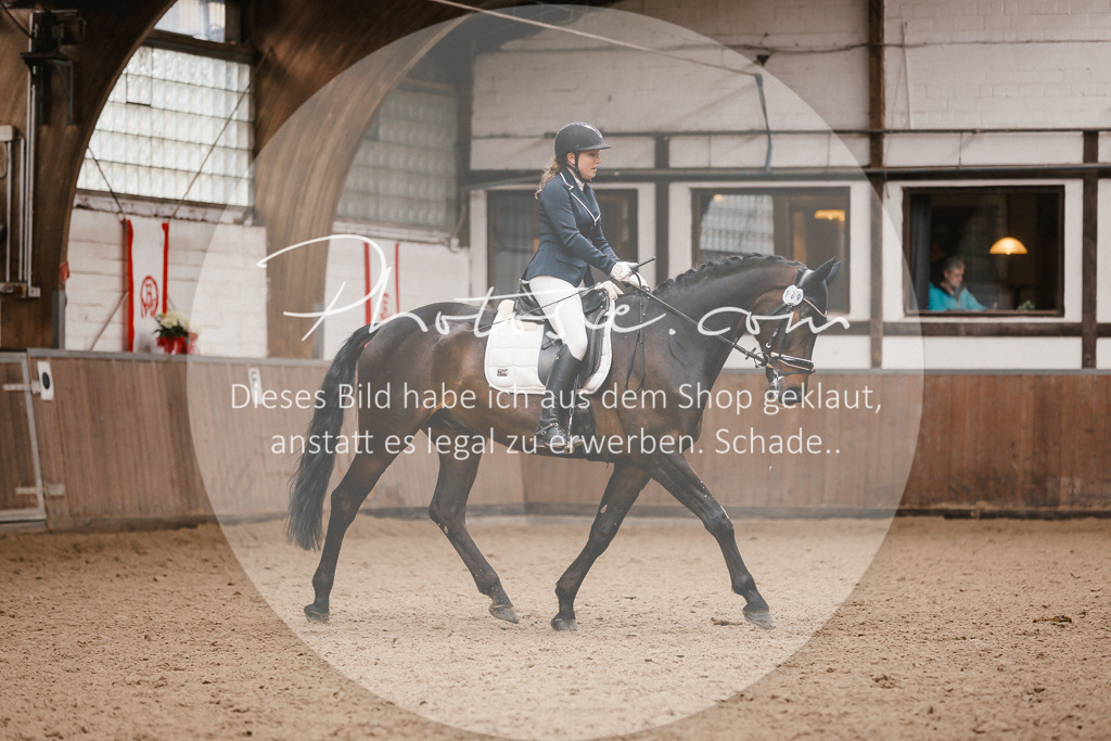3I6A7505 | Stimmungsvolle Portraits und Reitsportfotografie im Ruhrgebiet und im Münsterland.

Pferdefotografie, Hundefotografie, Tierfotografie, Reportagen, Portraits von Tier und Mensch, Turnierfotografie in Bochum, Recklinghausen, Marl, Haltern am See, Dülmen.. - Realisiert mit Pictrs.com