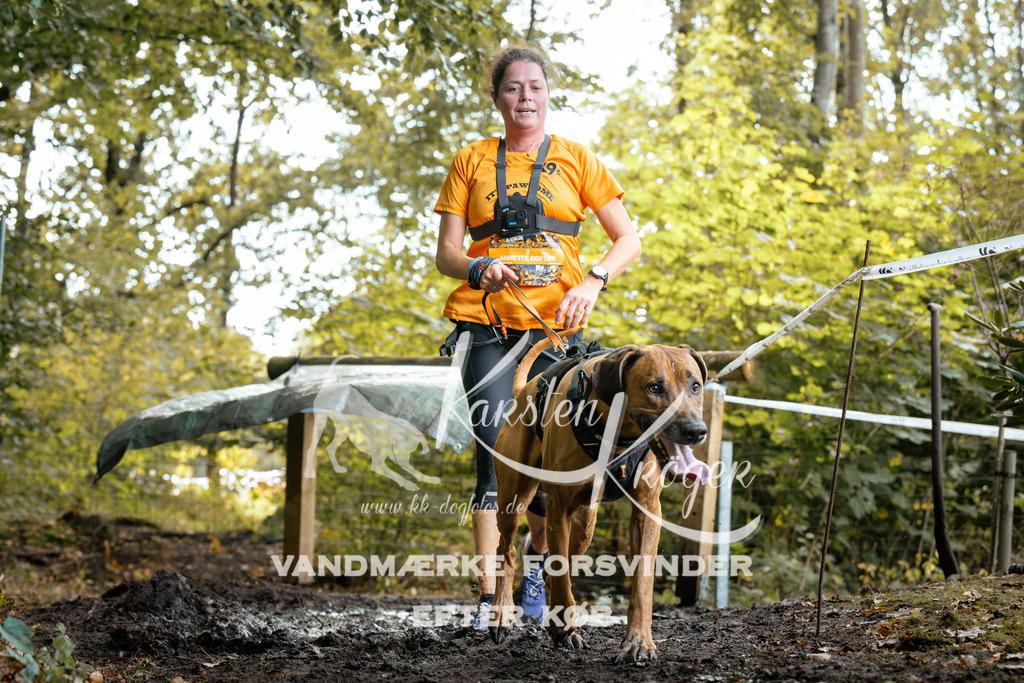 1415DZ6_1357-BearbeitetZ6 | kk-dogfotos