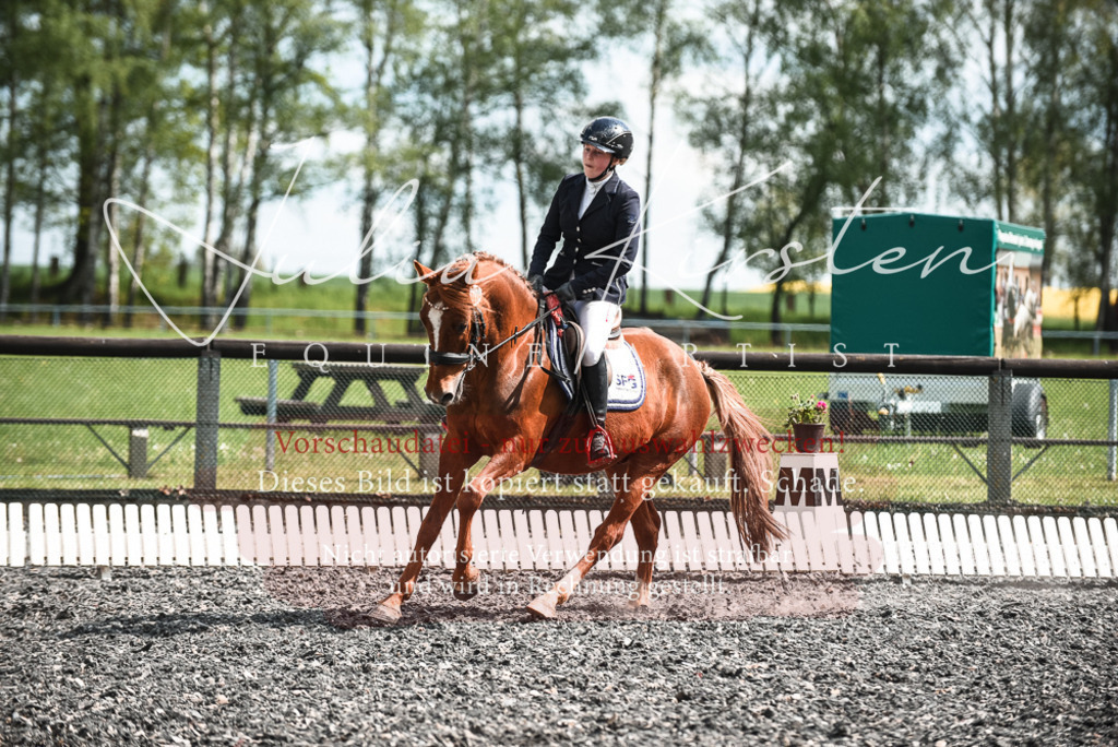 DSC_9040 | Pferde- und Turnierfotografie in Westsachsen. Pferdeportraits, Auftragszeichnungen und intuitive Kunst.