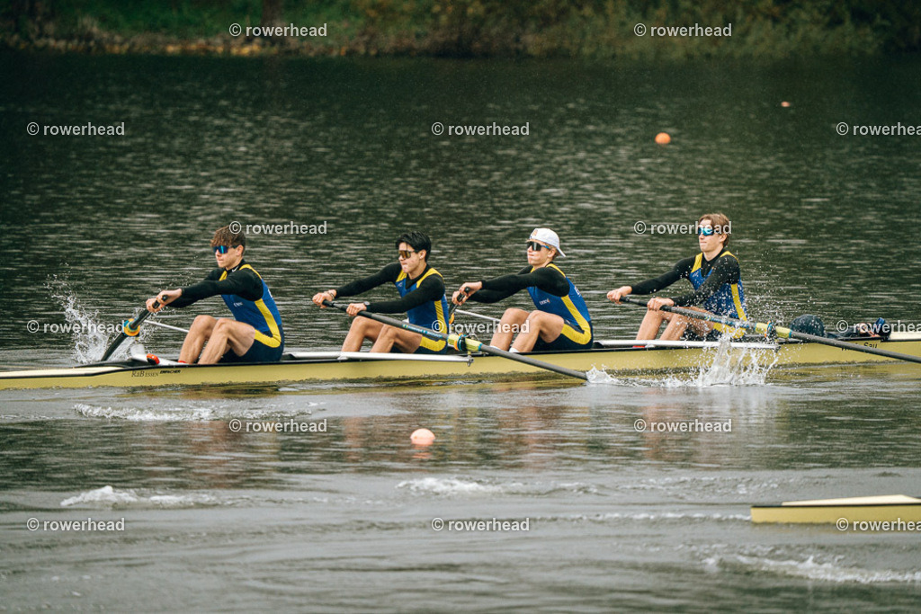 20251005_rowerhead_R031_S0348_DSC07486 | rowerhead - Realisiert mit Pictrs.com