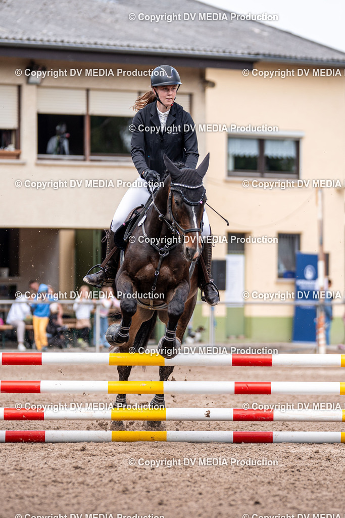 Eppelheim Tag 3-481 | dv-media-shop - Realisiert mit Pictrs.com