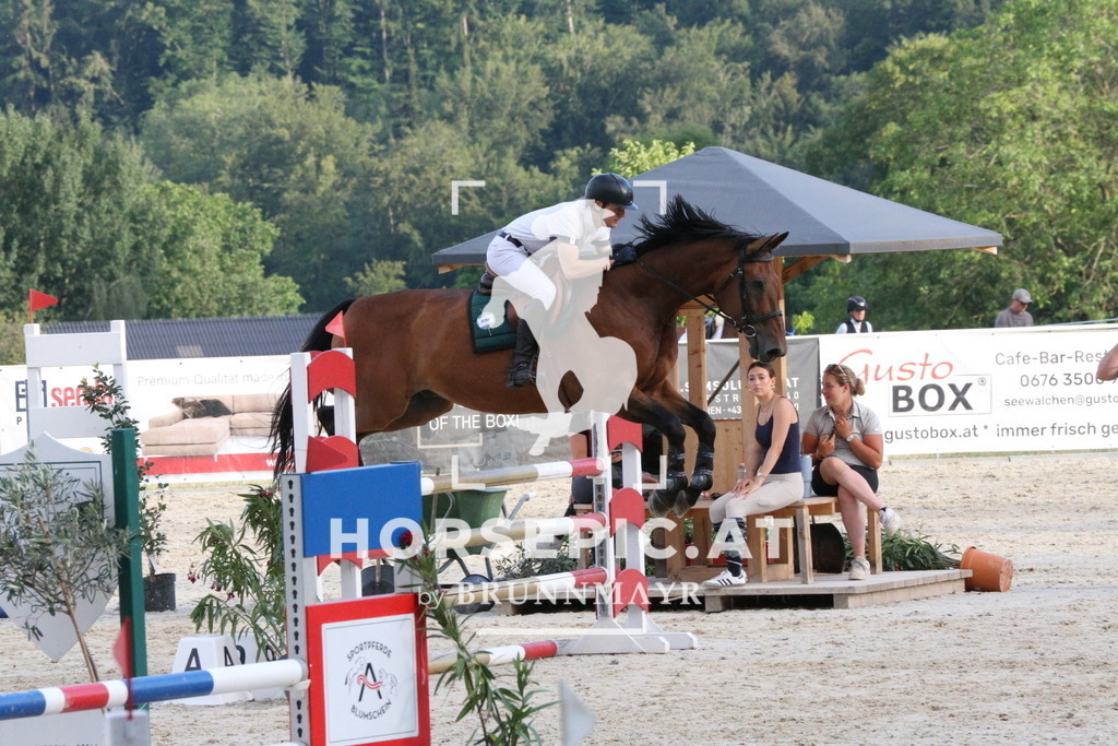 PP018709 | Willkommen bei Brunnmayr - Design & Fotografie – Ihrem Spezialisten für Reitturniere und Pferdeveranstaltungen in Oberösterreich, Salzburg und Bayern! Seit über 17 Jahren sind wir leidenschaftlich dabei.