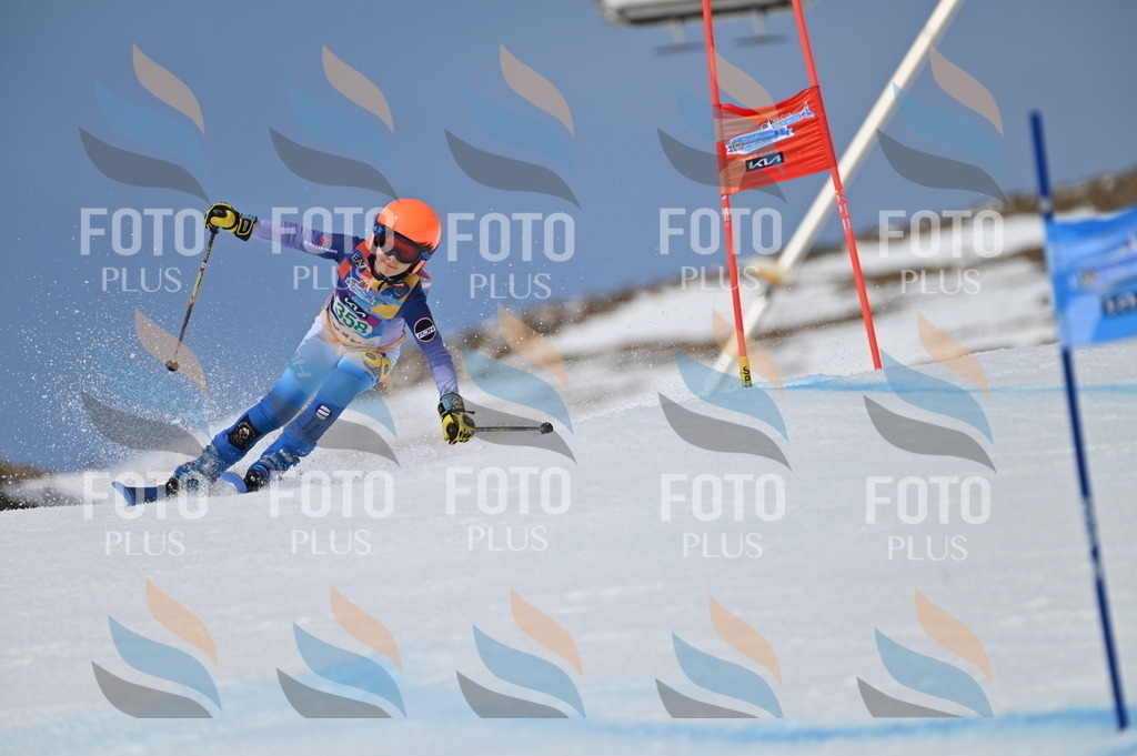 BGV_7064 | holidayphoto