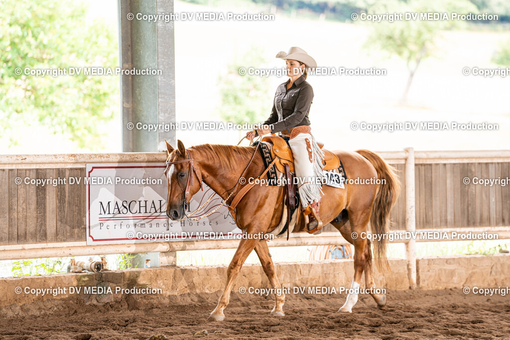 Erbach Tag 1-746 | dv-media-shop - Realisiert mit Pictrs.com