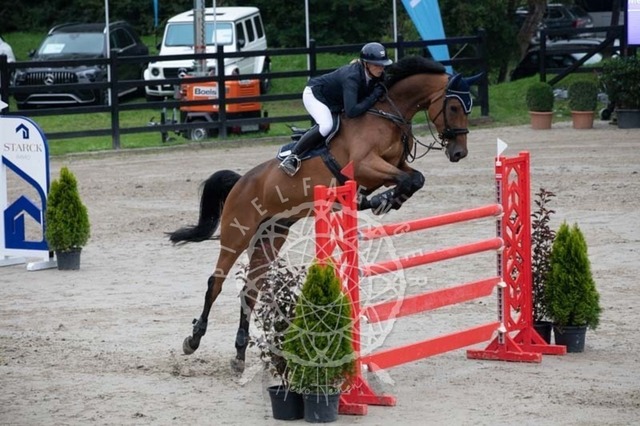 2B4A2623 | pixelfaenger - Realisiert mit Pictrs.com