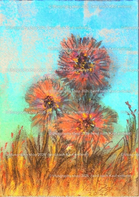 Asterngruß Variation 08 | Zeichnung von Vera Zschecked exclusiv auf titusgraphy.eu - Realisiert mit Pictrs.com
