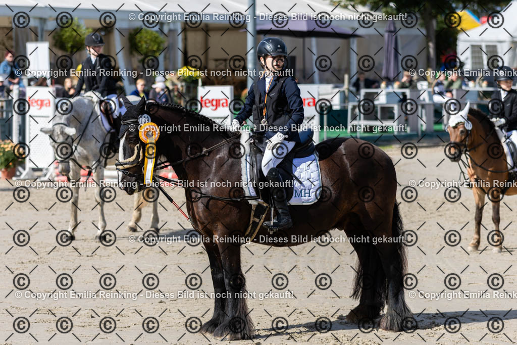 CL5A2008 | Emilia Reinking Fotografie - Realisiert mit Pictrs.com