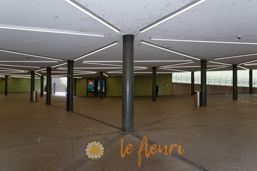 DSC_0056-NEF_DxO_PRIME | Dies ist der Shop von Florian Blum - le fleuri. Langenthal, Bern, Schweiz. Sie können hier meine oder ihre eigenen Fotos als Fotoprodukte kaufen. Tassen, Schlüsselanhänger, Taschen etc. können Sie hier gestalten.  - Realisiert mit Pictrs.com