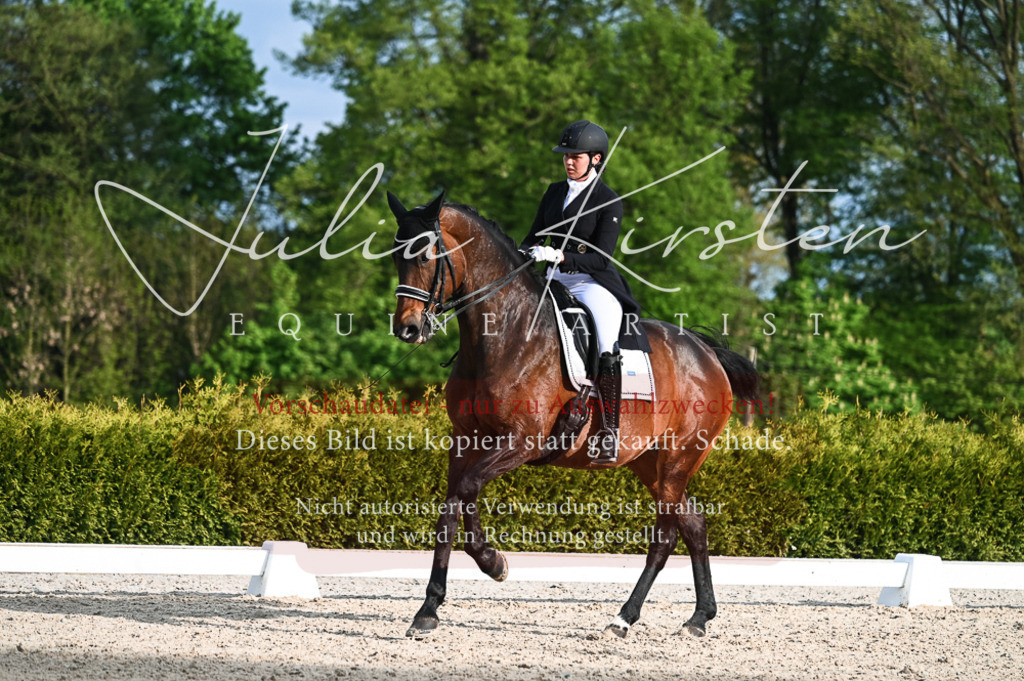 20230513_JK-Röhrsdorf-13-047 | Pferde- und Turnierfotografie in Westsachsen. Pferdeportraits, Auftragszeichnungen und intuitive Kunst.