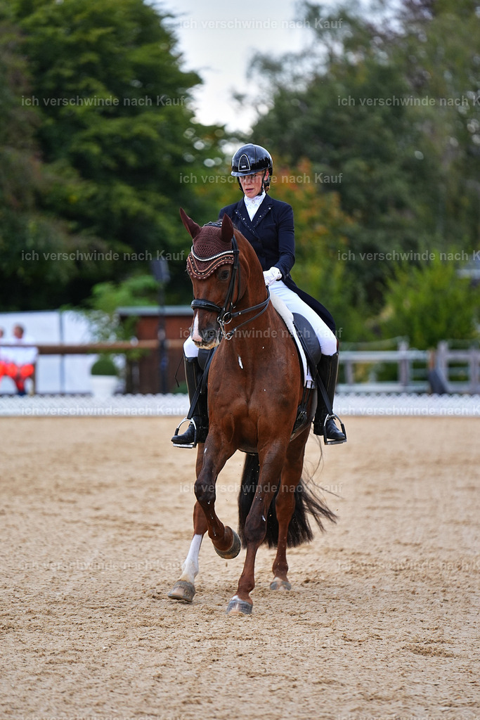8_1-085-Klasse S_  -Marixx-4102 | working equitationturnier fotograf videograf stoibphotography marixx film working equitation deutschland reitsport turnierfotografie eventfotografie equestrian events