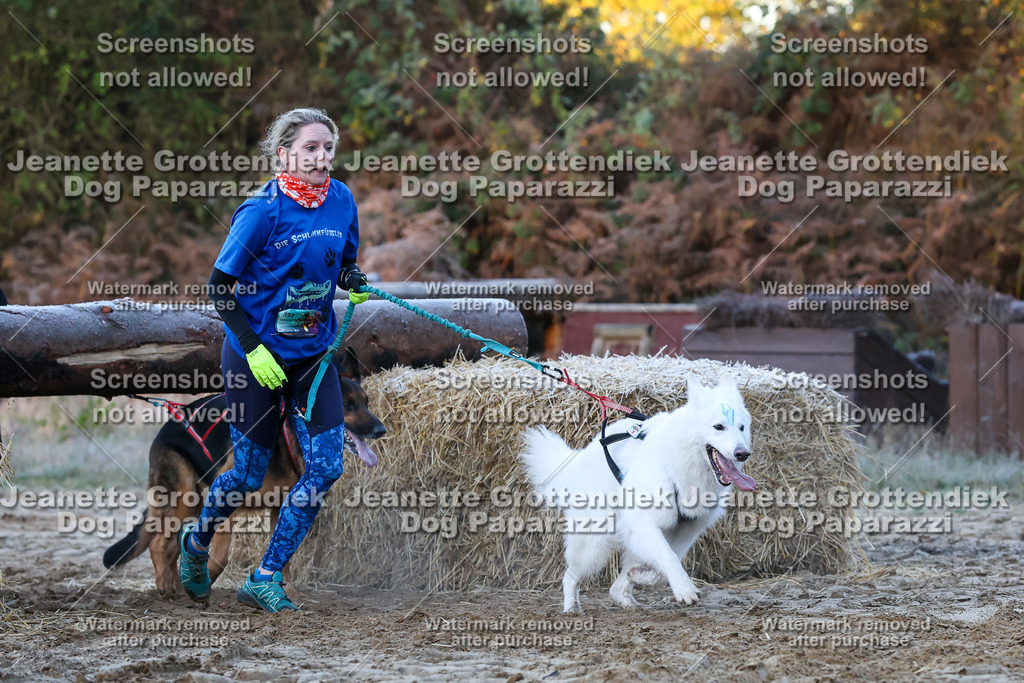 Dog Paparazzi - Strongdog 10-25-335 | Dog Paparazzi Jeanette Grottendiek Fotografie & Videografie - Realisiert mit Pictrs.com