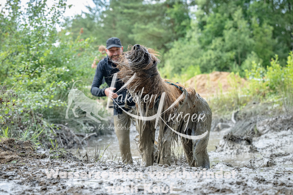 1015_ZZ91313 | kk-dogfotos