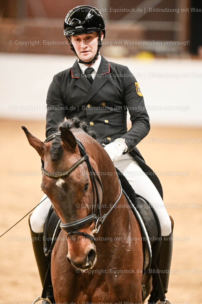 20260307_Hengstvorstellung-Marbach_0367 | equistock