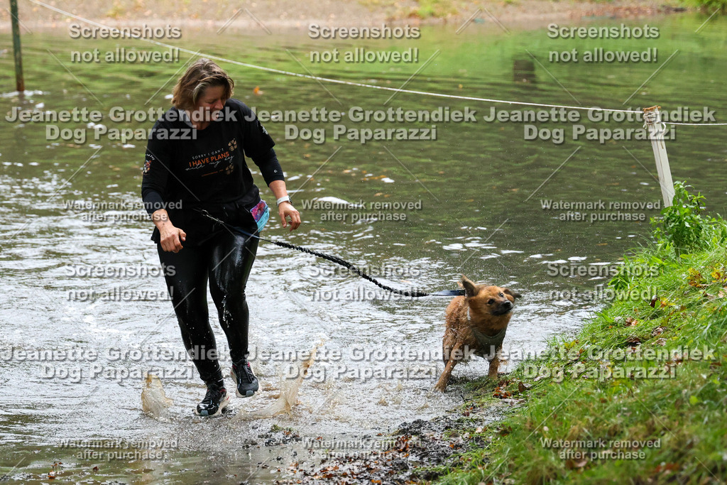 Dog Paparazzi -  SD1026-8260 | Dog Paparazzi Jeanette Grottendiek Fotografie & Videografie - Realisiert mit Pictrs.com
