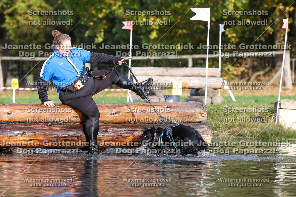 Dog Paparazzi - Strongdog 10-25-8423 | Dog Paparazzi Jeanette Grottendiek Fotografie & Videografie - Realisiert mit Pictrs.com