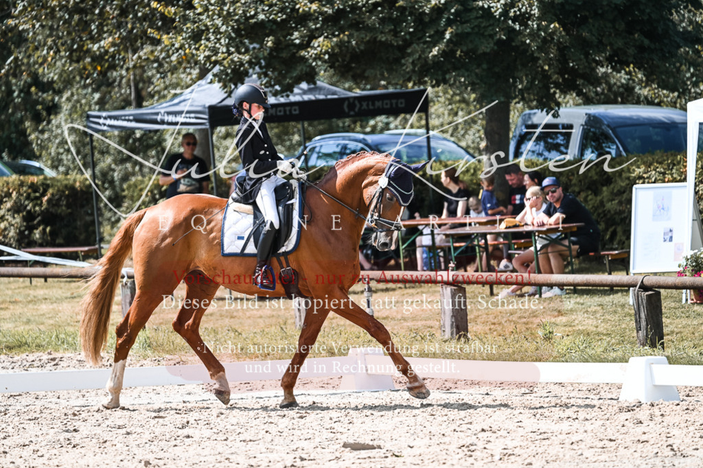 DSC_5105 | Pferde- und Turnierfotografie in Westsachsen. Pferdeportraits, Auftragszeichnungen und intuitive Kunst.